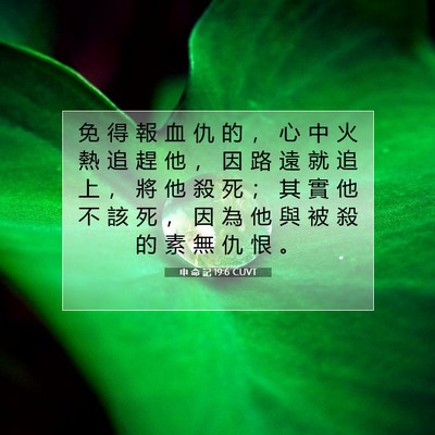 Picture 07 - 申 命 記 19:6 CUVT - 免 得 報 血 仇 的 ， 心 中 火 熱 追 - Bible Verse Picture