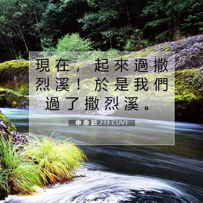 Picture 07 - 申 命 記 2:13 CUVT - 現 在 ， 起 來 過 撒 烈 溪 ！ 於 是 - Bible Verse Picture