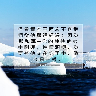 Picture 07 - 申 命 記 2:30 CUVT - 但 希 實 本 王 西 宏 不 容 我 們 從 - Bible Verse Picture