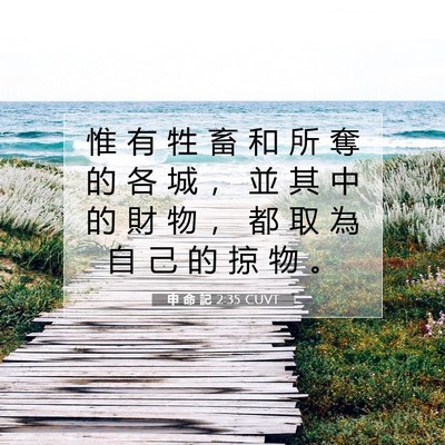 Picture 07 - 申 命 記 2:35 CUVT - 惟 有 牲 畜 和 所 奪 的 各 城 ， 並 - Bible Verse Picture