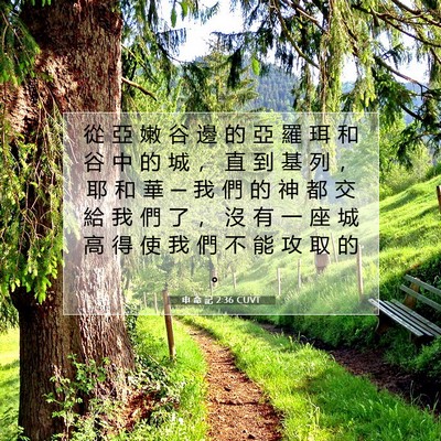 Picture 07 - 申 命 記 2:36 CUVT - 從 亞 嫩 谷 邊 的 亞 羅 珥 和 谷 中 - Bible Verse Picture