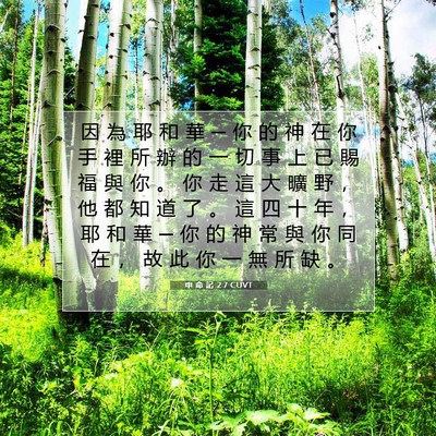 Picture 07 - 申 命 記 2:7 CUVT - 因 為 耶 和 華 ─ 你 的 神 在 你 手 - Bible Verse Picture