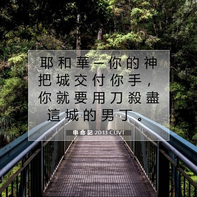Picture 07 - 申 命 記 20:13 CUVT - 耶 和 華 ─ 你 的 神 把 城 交 付 你 - Bible Verse Picture