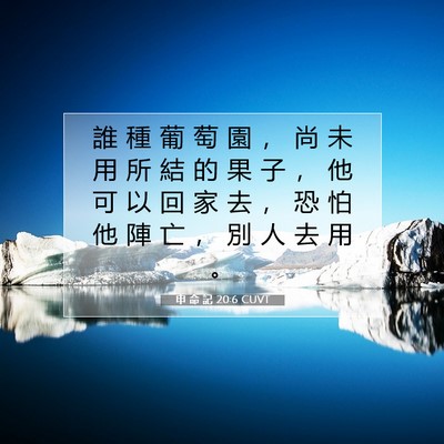 Picture 07 - 申 命 記 20:6 CUVT - 誰 種 葡 萄 園 ， 尚 未 用 所 結 的 - Bible Verse Picture
