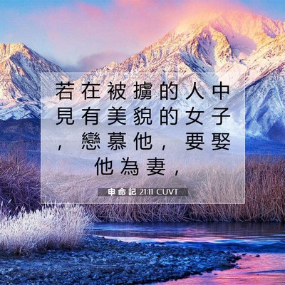 Picture 07 - 申 命 記 21:11 CUVT - 若 在 被 擄 的 人 中 見 有 美 貌 的 - Bible Verse Picture