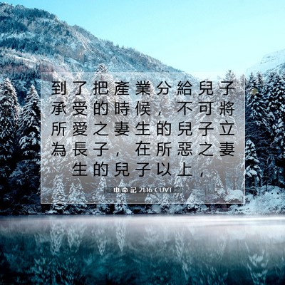 Picture 07 - 申 命 記 21:16 CUVT - 到 了 把 產 業 分 給 兒 子 承 受 的 - Bible Verse Picture