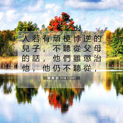 Picture 07 - 申 命 記 21:18 CUVT - 人 若 有 頑 梗 悖 逆 的 兒 子 ， 不 - Bible Verse Picture