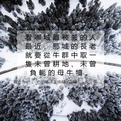 Picture 07 - 申 命 記 21:3 CUVT - 看 哪 城 離 被 殺 的 人 最 近 ， 那 - Bible Verse Picture