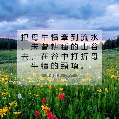 Picture 07 - 申 命 記 21:4 CUVT - 把 母 牛 犢 牽 到 流 水 、 未 曾 耕 - Bible Verse Picture