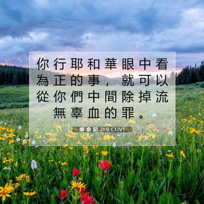 Picture 07 - 申 命 記 21:9 CUVT - 你 行 耶 和 華 眼 中 看 為 正 的 事 - Bible Verse Picture