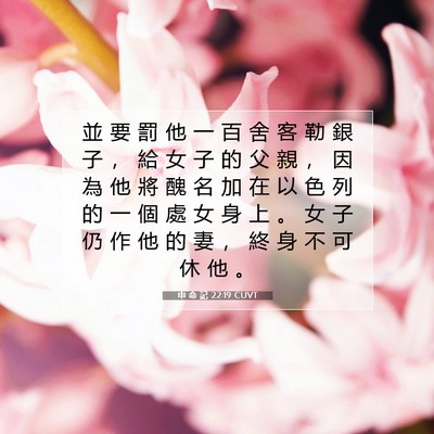 Picture 07 - 申 命 記 22:19 CUVT - 並 要 罰 他 一 百 舍 客 勒 銀 子 ， - Bible Verse Picture