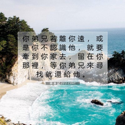 Picture 07 - 申 命 記 22:2 CUVT - 你 弟 兄 若 離 你 遠 ， 或 是 你 不 - Bible Verse Picture