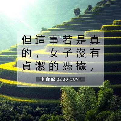 Picture 07 - 申 命 記 22:20 CUVT - 但 這 事 若 是 真 的 ， 女 子 沒 有 - Bible Verse Picture