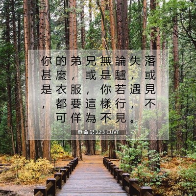 Picture 07 - 申 命 記 22:3 CUVT - 你 的 弟 兄 無 論 失 落 甚 麼 ， 或 - Bible Verse Picture