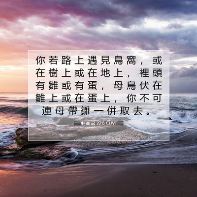 Picture 07 - 申 命 記 22:6 CUVT - 你 若 路 上 遇 見 鳥 窩 ， 或 在 樹 - Bible Verse Picture