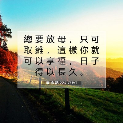 Picture 07 - 申 命 記 22:7 CUVT - 總 要 放 母 ， 只 可 取 雛 ， 這 樣 - Bible Verse Picture