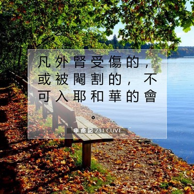 Picture 07 - 申 命 記 23:1 CUVT - 凡 外 腎 受 傷 的 ， 或 被 閹 割 的 - Bible Verse Picture