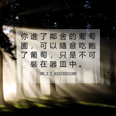 Picture 07 - 申 命 記 23:24 CUVT - 你 進 了 鄰 舍 的 葡 萄 園 ， 可 以 - Bible Verse Picture