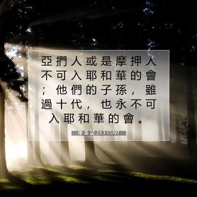Picture 07 - 申 命 記 23:3 CUVT - 亞 捫 人 或 是 摩 押 人 不 可 入 耶 - Bible Verse Picture