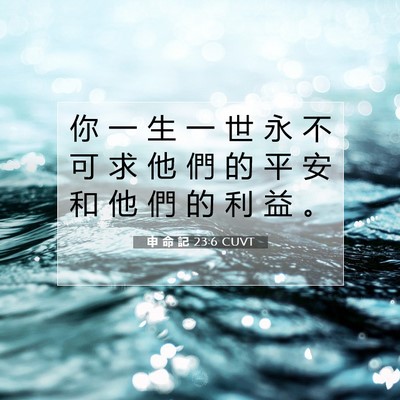 Picture 07 - 申 命 記 23:6 CUVT - 你 一 生 一 世 永 不 可 求 他 們 的 - Bible Verse Picture