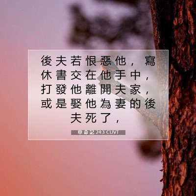 Picture 07 - 申 命 記 24:3 CUVT - 後 夫 若 恨 惡 他 ， 寫 休 書 交 在 - Bible Verse Picture