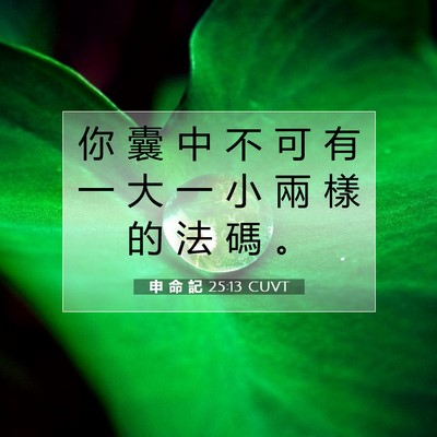 Picture 07 - 申 命 記 25:13 CUVT - 你 囊 中 不 可 有 一 大 一 小 兩 樣 - Bible Verse Picture