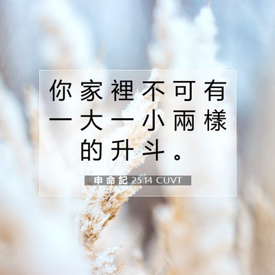 Picture 07 - 申 命 記 25:14 CUVT - 你 家 裡 不 可 有 一 大 一 小 兩 樣 - Bible Verse Picture