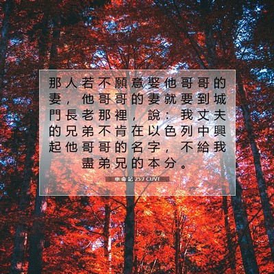 Picture 07 - 申 命 記 25:7 CUVT - 那 人 若 不 願 意 娶 他 哥 哥 的 妻 - Bible Verse Picture