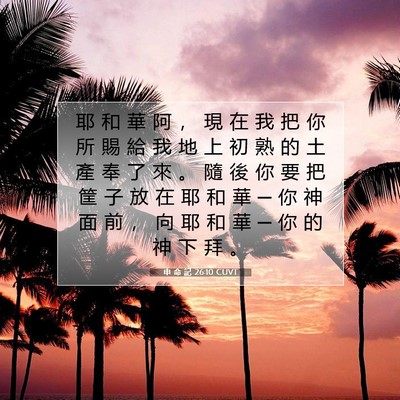 Picture 07 - 申 命 記 26:10 CUVT - 耶 和 華 阿 ， 現 在 我 把 你 所 賜 - Bible Verse Picture