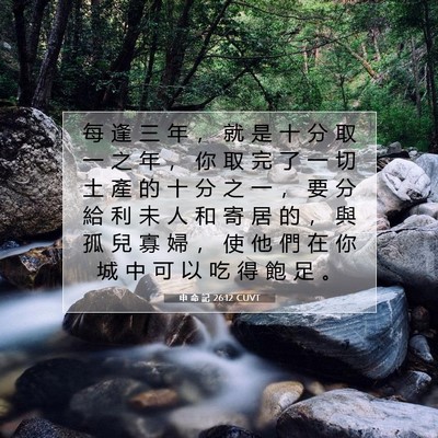 Picture 07 - 申 命 記 26:12 CUVT - 每 逢 三 年 ， 就 是 十 分 取 一 之 - Bible Verse Picture