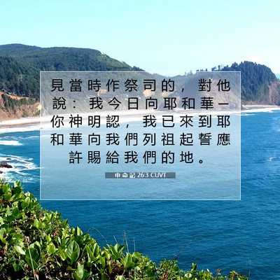 Picture 07 - 申 命 記 26:3 CUVT - 見 當 時 作 祭 司 的 ， 對 他 說 ： - Bible Verse Picture