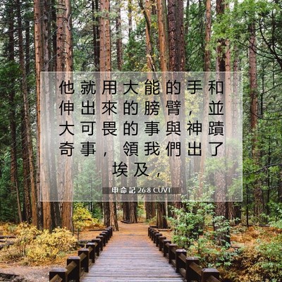 Picture 07 - 申 命 記 26:8 CUVT - 他 就 用 大 能 的 手 和 伸 出 來 的 - Bible Verse Picture