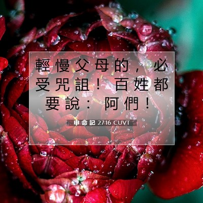 Picture 07 - 申 命 記 27:16 CUVT - 輕 慢 父 母 的 ， 必 受 咒 詛 ！ 百 - Bible Verse Picture