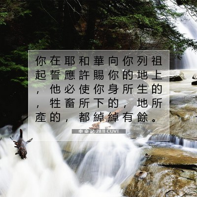 Picture 07 - 申 命 記 28:11 CUVT - 你 在 耶 和 華 向 你 列 祖 起 誓 應 - Bible Verse Picture