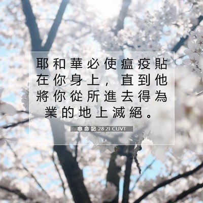 Picture 07 - 申 命 記 28:21 CUVT - 耶 和 華 必 使 瘟 疫 貼 在 你 身 上 - Bible Verse Picture