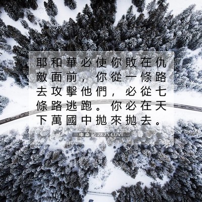 Picture 07 - 申 命 記 28:25 CUVT - 耶 和 華 必 使 你 敗 在 仇 敵 面 前 - Bible Verse Picture