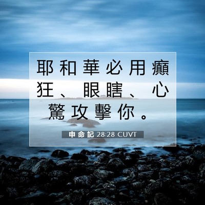 Picture 07 - 申 命 記 28:28 CUVT - 耶 和 華 必 用 癲 狂 、 眼 瞎 、 心 - Bible Verse Picture