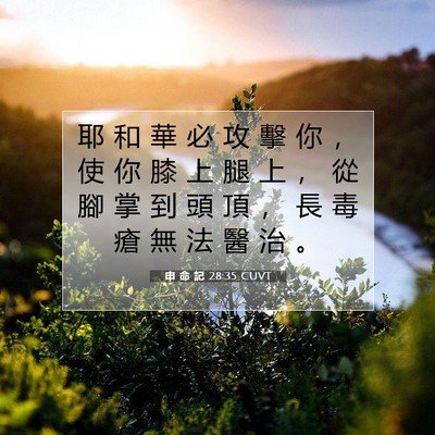 Picture 07 - 申 命 記 28:35 CUVT - 耶 和 華 必 攻 擊 你 ， 使 你 膝 上 - Bible Verse Picture