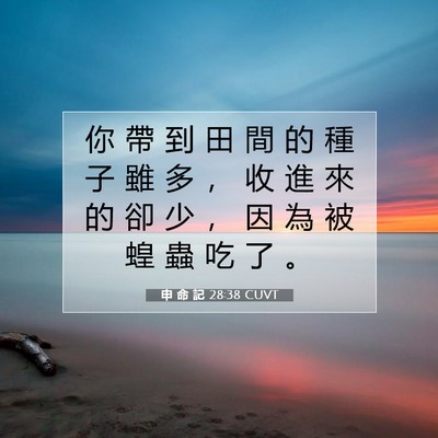 Picture 07 - 申 命 記 28:38 CUVT - 你 帶 到 田 間 的 種 子 雖 多 ， 收 - Bible Verse Picture