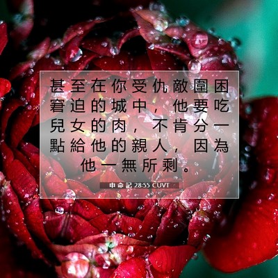 Picture 07 - 申 命 記 28:55 CUVT - 甚 至 在 你 受 仇 敵 圍 困 窘 迫 的 - Bible Verse Picture