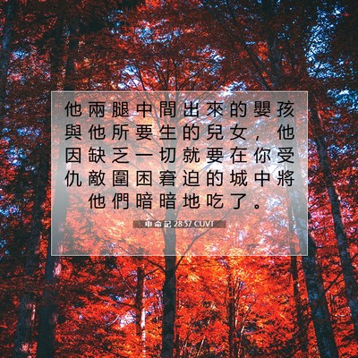 Picture 07 - 申 命 記 28:57 CUVT - 他 兩 腿 中 間 出 來 的 嬰 孩 與 他 - Bible Verse Picture
