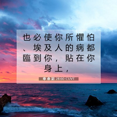 Picture 07 - 申 命 記 28:60 CUVT - 也 必 使 你 所 懼 怕 、 埃 及 人 的 - Bible Verse Picture