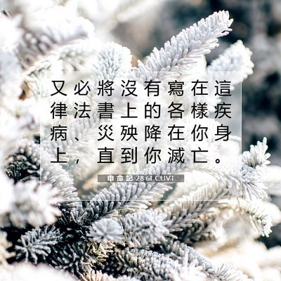 Picture 07 - 申 命 記 28:61 CUVT - 又 必 將 沒 有 寫 在 這 律 法 書 上 - Bible Verse Picture