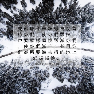 Picture 07 - 申 命 記 28:63 CUVT - 先 前 耶 和 華 怎 樣 喜 悅 善 待 你 - Bible Verse Picture