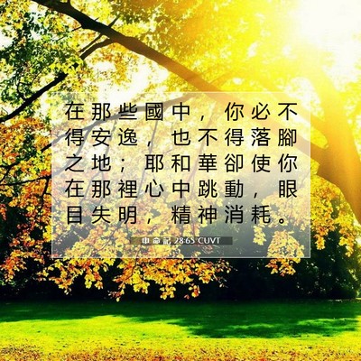 Picture 07 - 申 命 記 28:65 CUVT - 在 那 些 國 中 ， 你 必 不 得 安 逸 - Bible Verse Picture