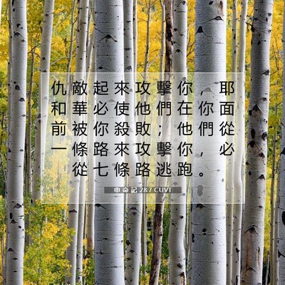 Picture 07 - 申 命 記 28:7 CUVT - 仇 敵 起 來 攻 擊 你 ， 耶 和 華 必 - Bible Verse Picture