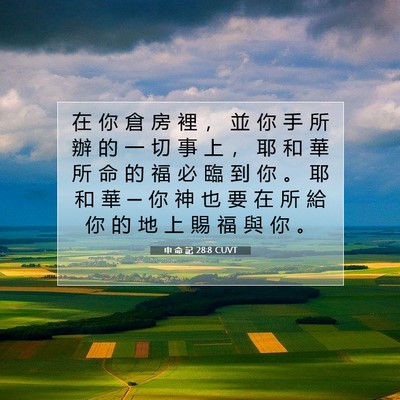Picture 07 - 申 命 記 28:8 CUVT - 在 你 倉 房 裡 ， 並 你 手 所 辦 的 - Bible Verse Picture