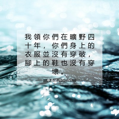 Picture 07 - 申 命 記 29:5 CUVT - 我 領 你 們 在 曠 野 四 十 年 ， 你 - Bible Verse Picture