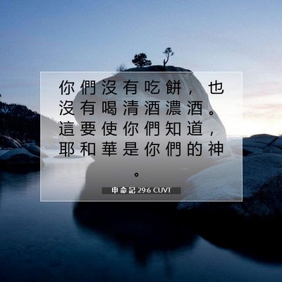 Picture 07 - 申 命 記 29:6 CUVT - 你 們 沒 有 吃 餅 ， 也 沒 有 喝 清 - Bible Verse Picture