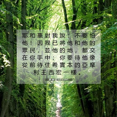 Picture 07 - 申 命 記 3:2 CUVT - 耶 和 華 對 我 說 ： 不 要 怕 他 ！ - Bible Verse Picture